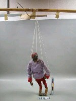 藏品(青魁)的圖片